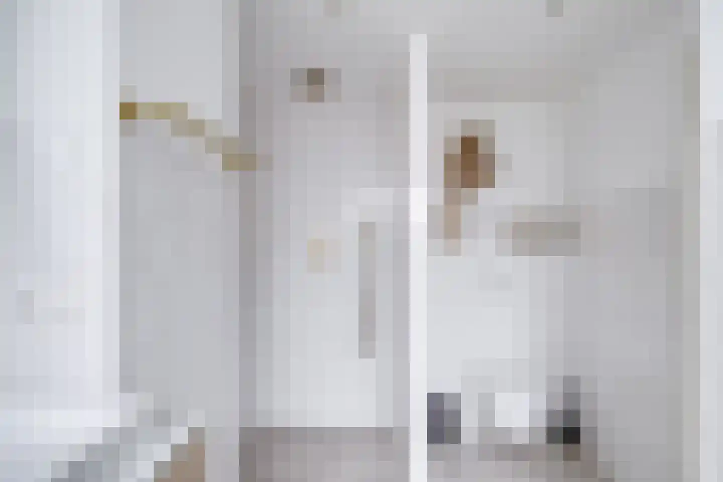 Bladstraat 7 Utrecht thumbnail 50