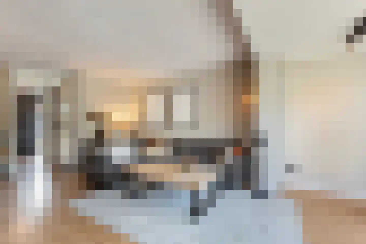 Bladwesp 2 Hengelo thumbnail 12