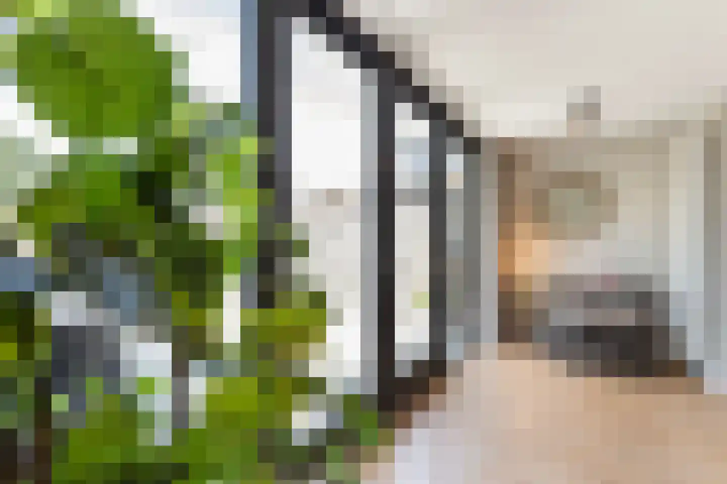Bladwesp 2 Hengelo thumbnail 14