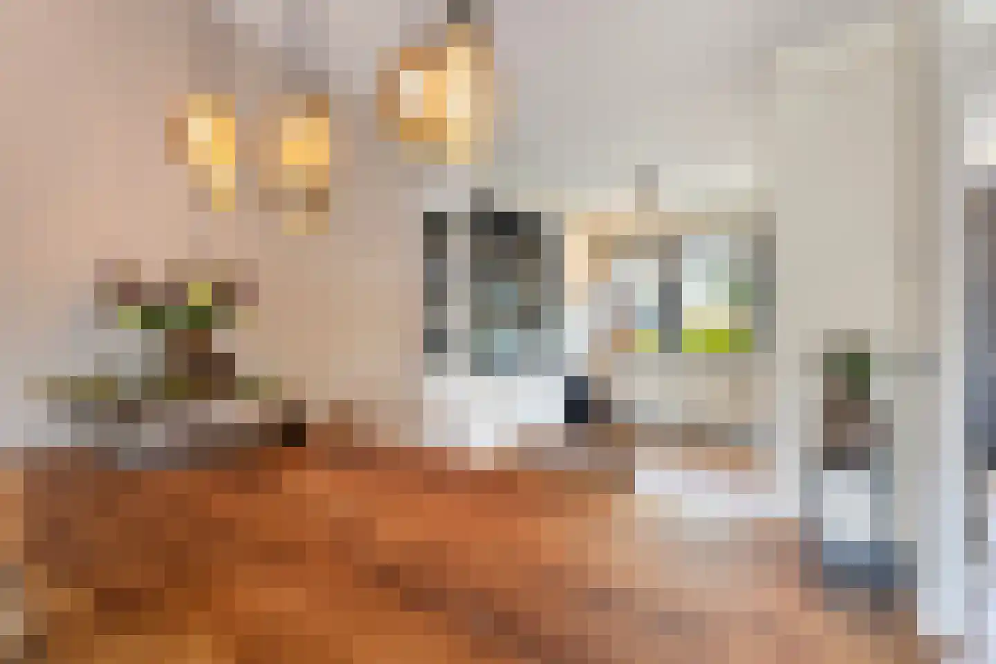 Bladwesp 2 Hengelo thumbnail 17