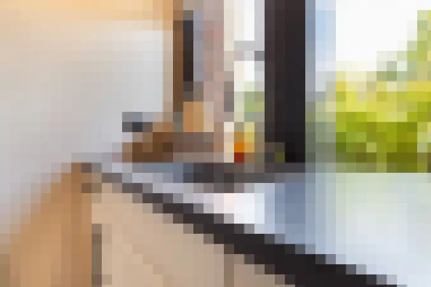 Bladwesp 2 Hengelo thumbnail 20