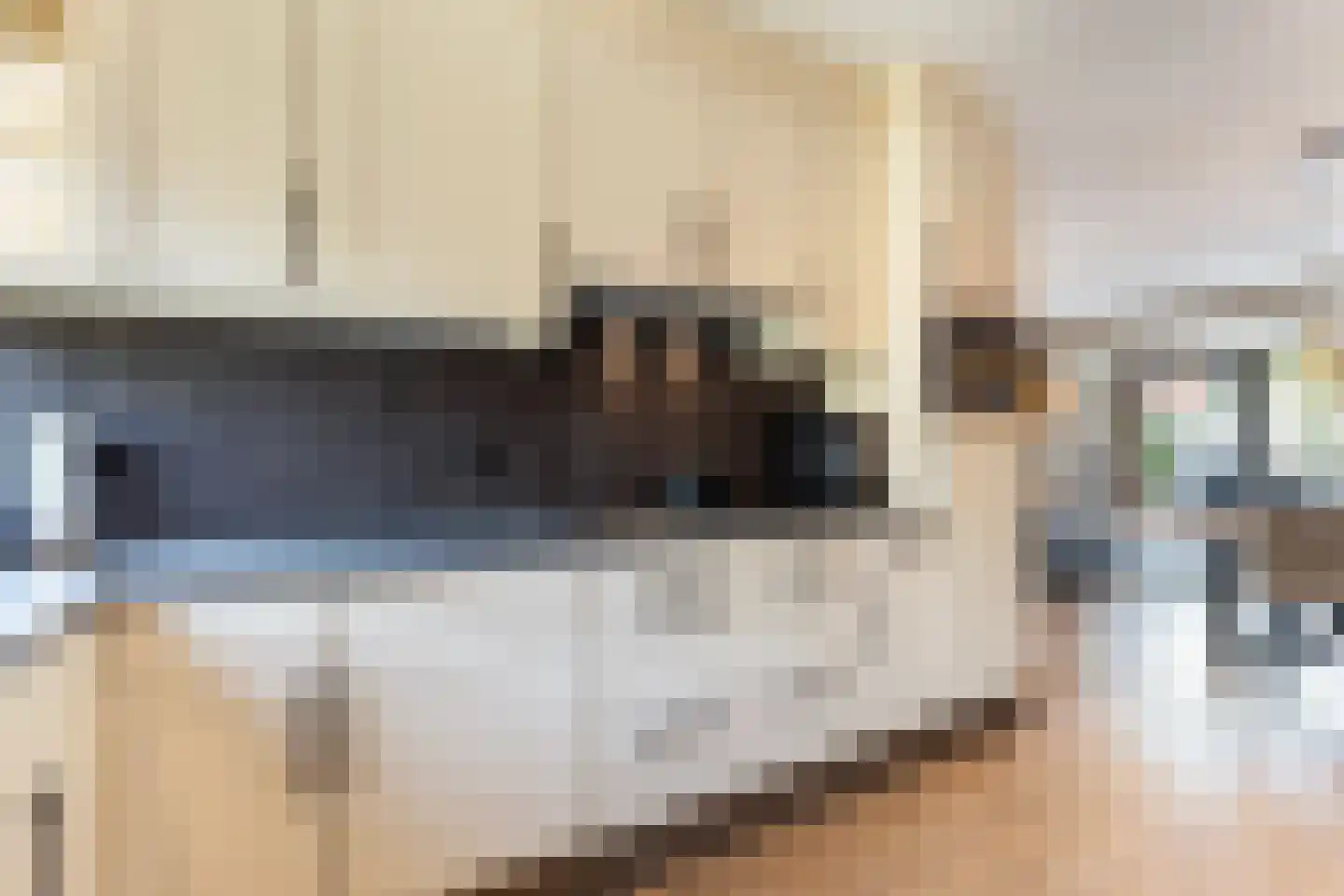 Bladwesp 2 Hengelo thumbnail 21