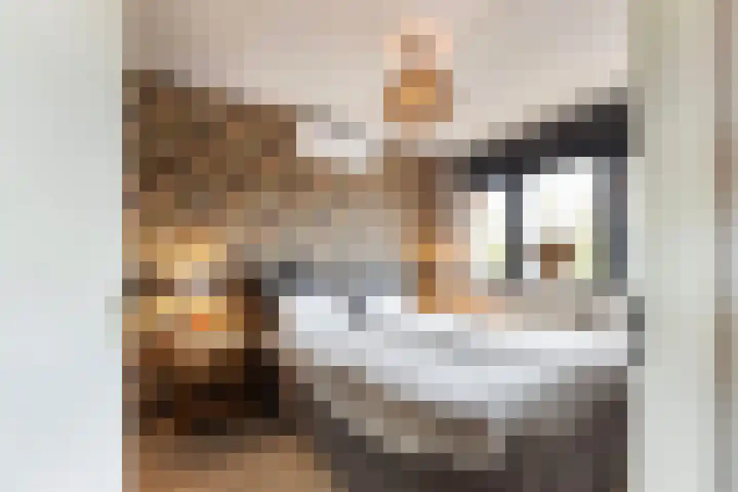 Bladwesp 2 Hengelo thumbnail 24