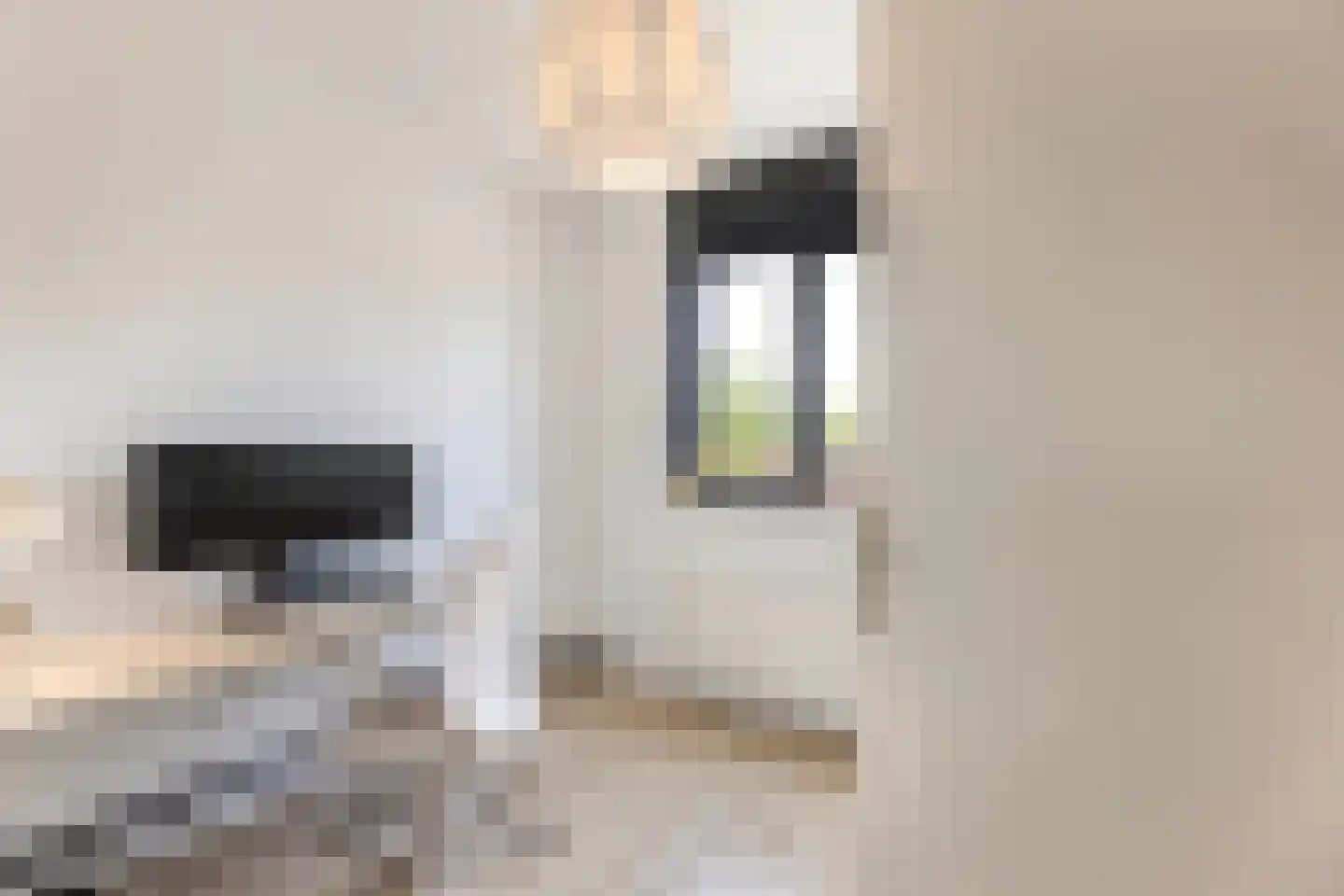 Bladwesp 2 Hengelo thumbnail 29