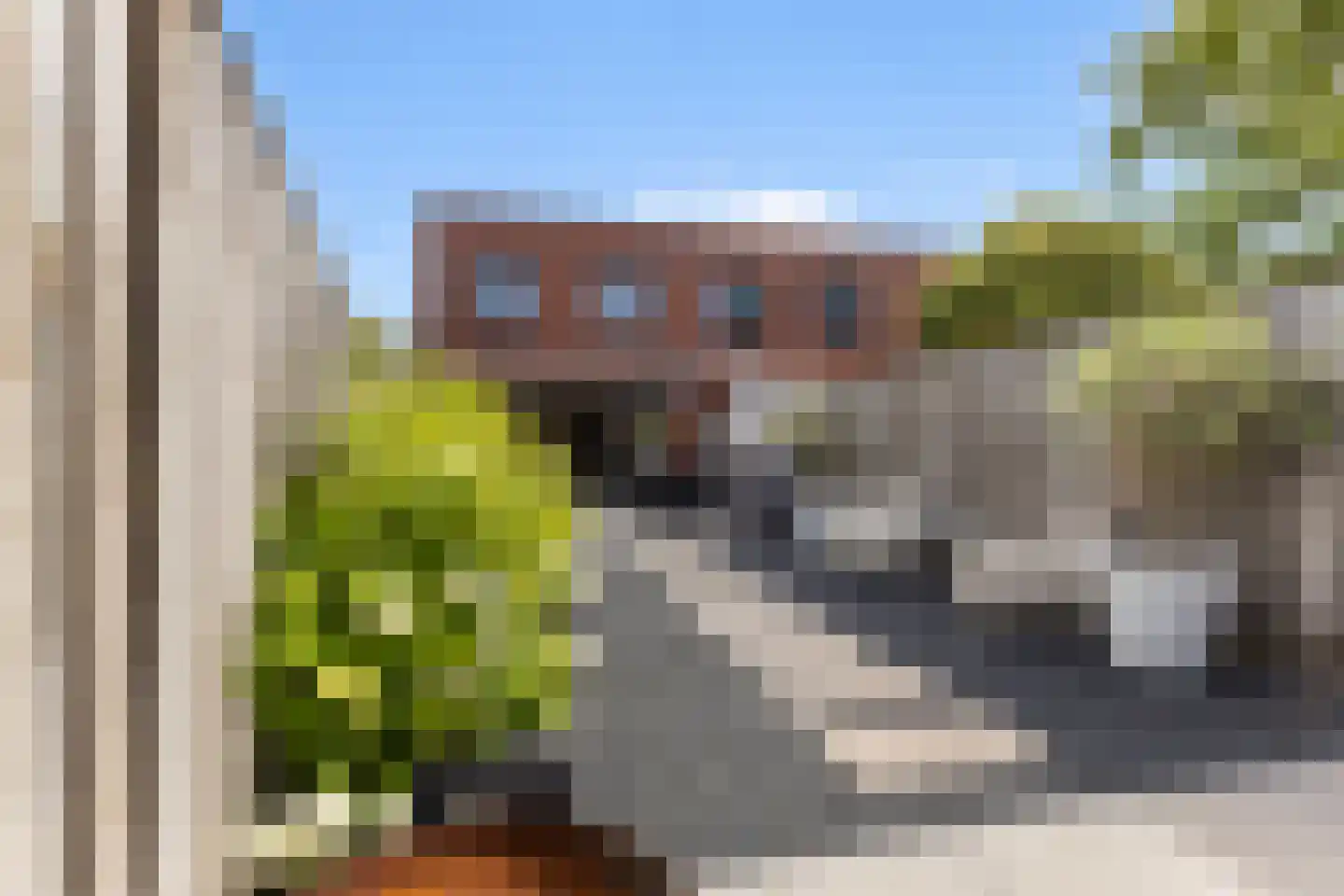 Bladwesp 2 Hengelo thumbnail 35