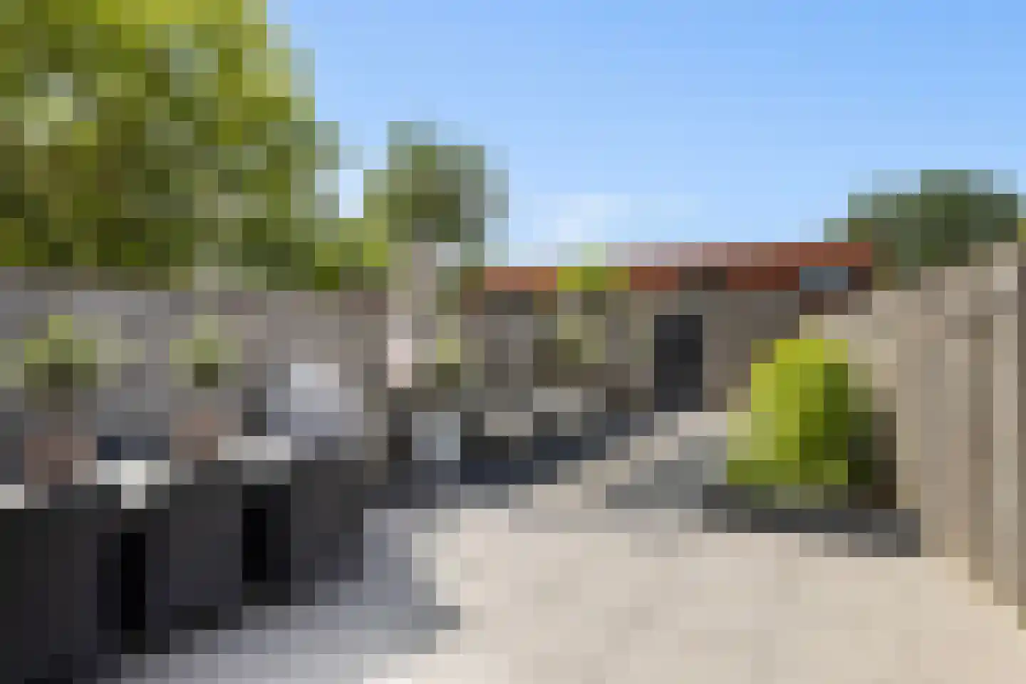 Bladwesp 2 Hengelo thumbnail 37