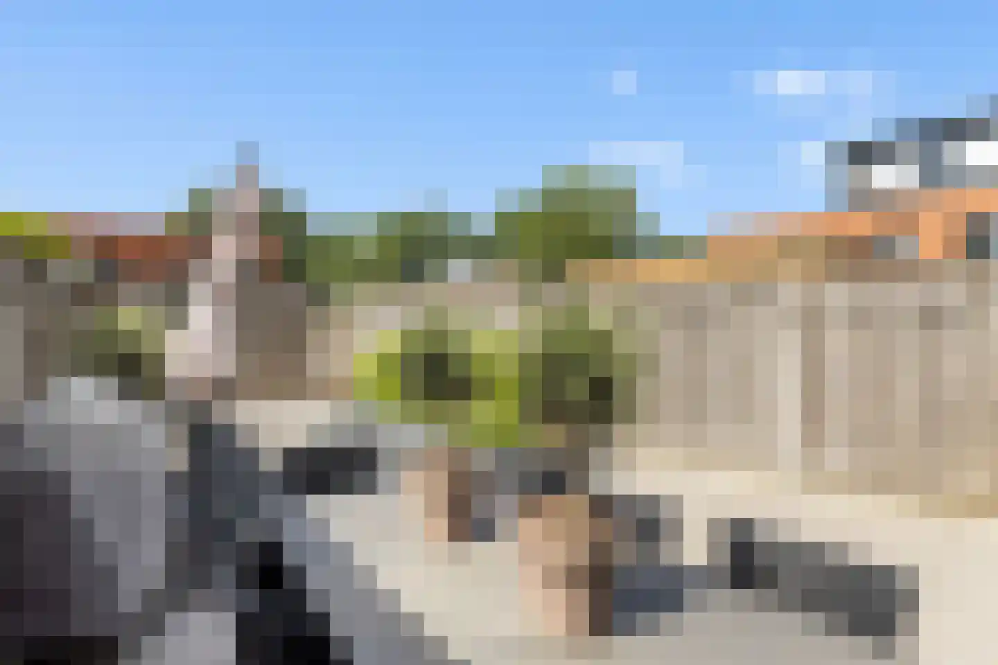 Bladwesp 2 Hengelo thumbnail 38