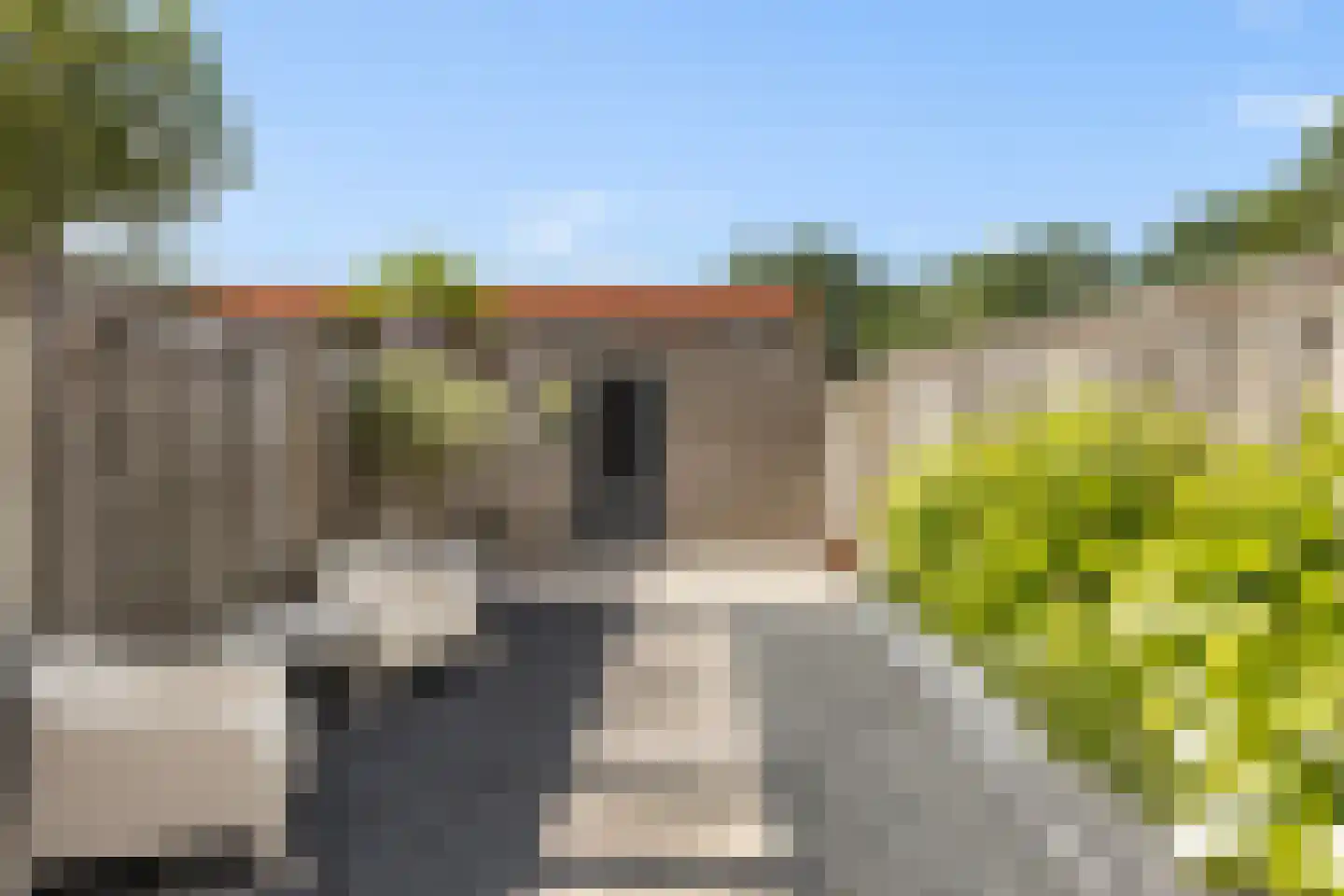 Bladwesp 2 Hengelo thumbnail 39