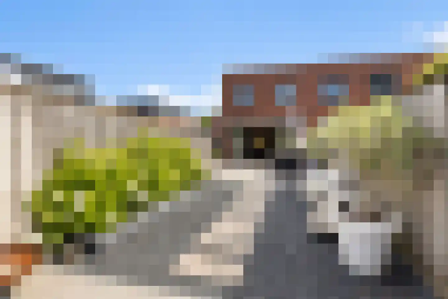 Bladwesp 2 Hengelo thumbnail 4