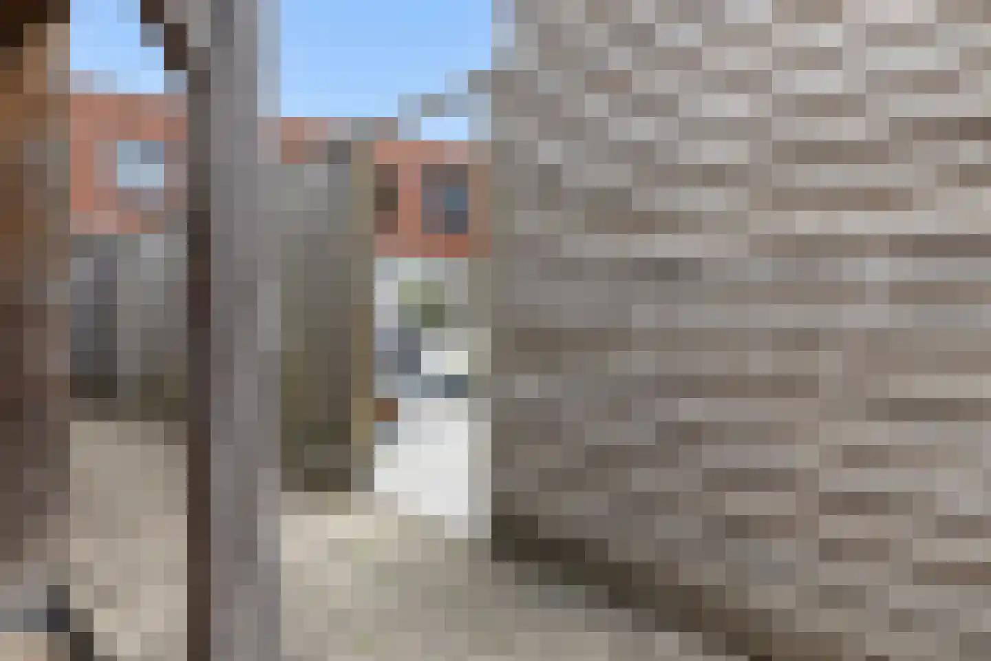 Bladwesp 2 Hengelo thumbnail 42