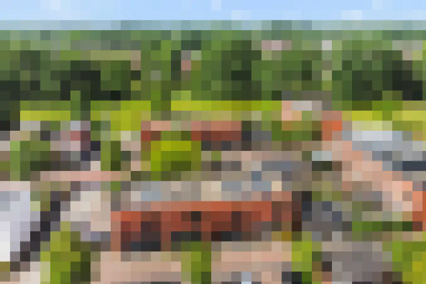 Bladwesp 2 Hengelo thumbnail 43