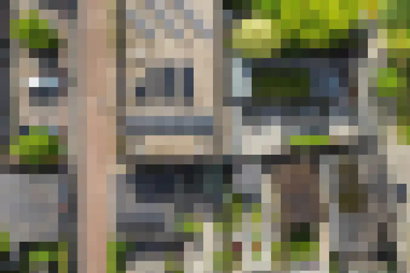 Bladwesp 2 Hengelo thumbnail 44