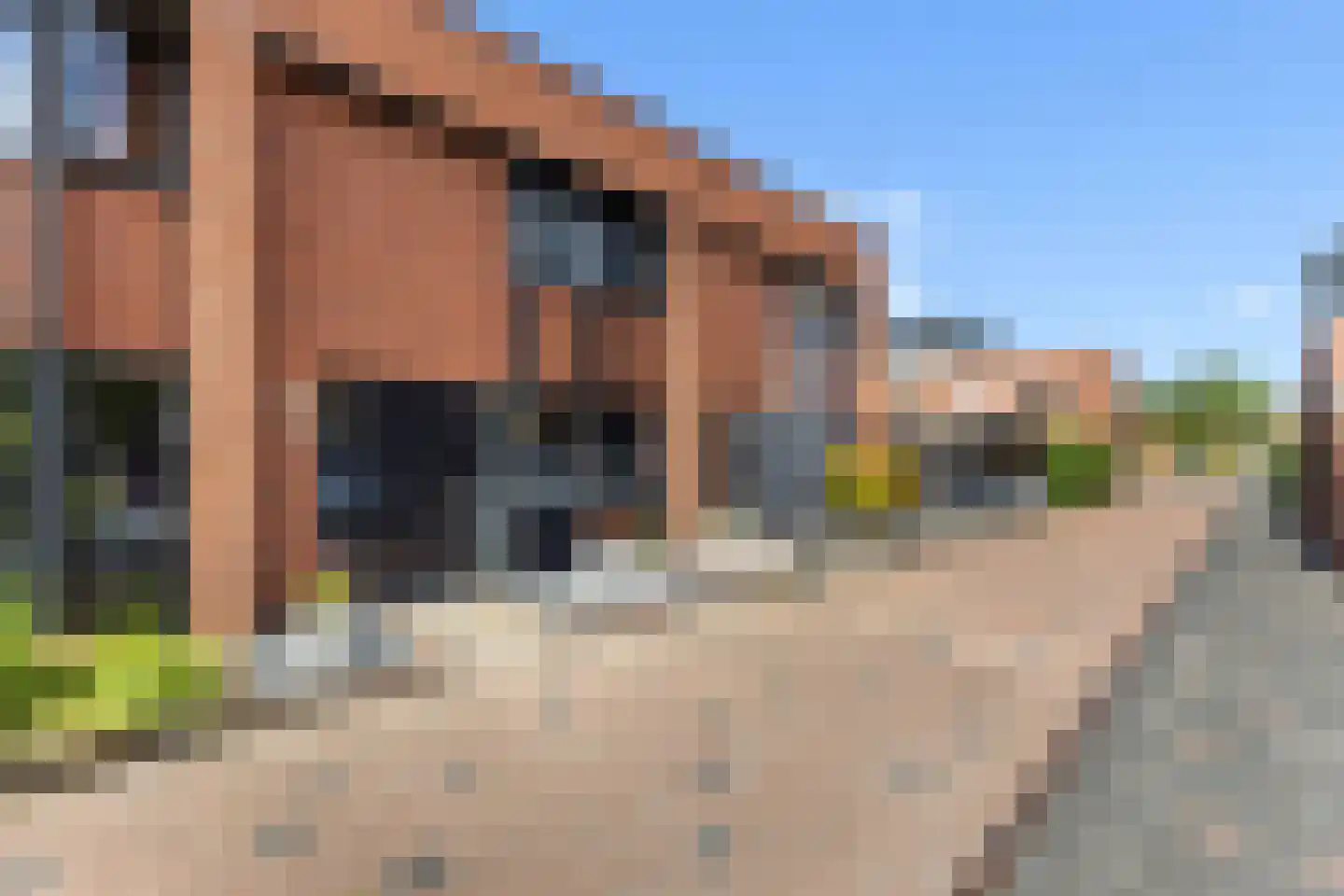 Bladwesp 2 Hengelo thumbnail 5