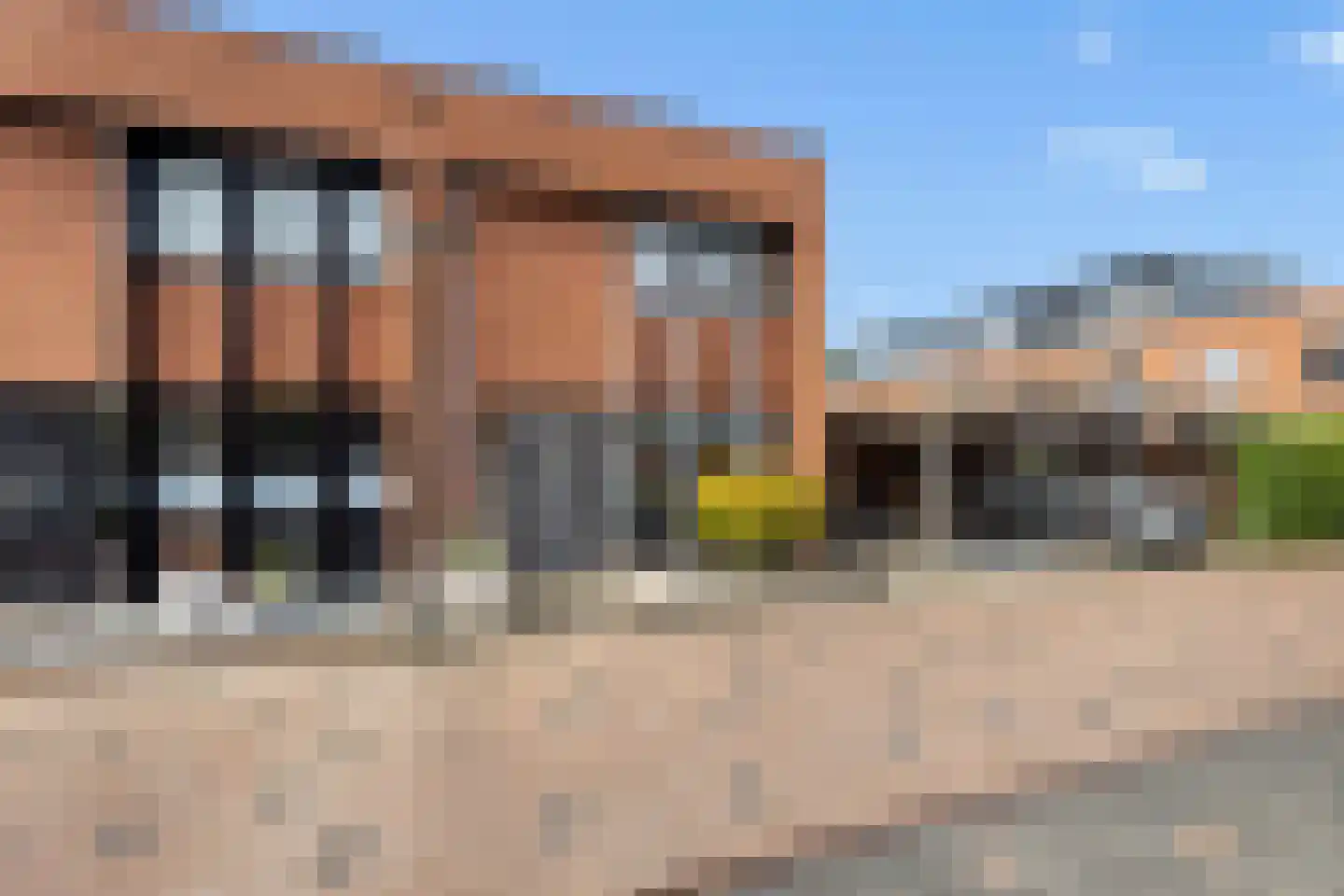 Bladwesp 2 Hengelo thumbnail 6
