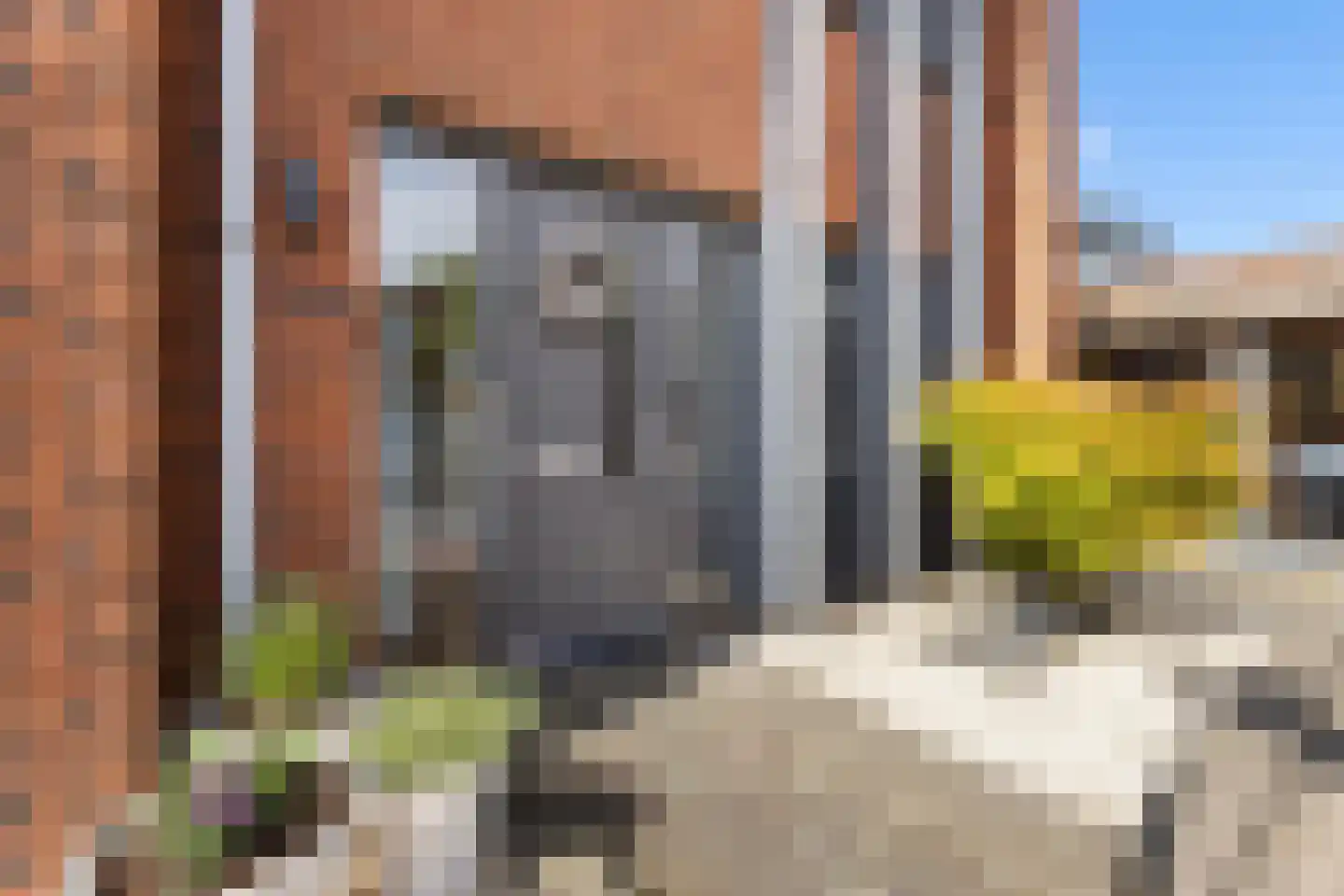 Bladwesp 2 Hengelo thumbnail 7