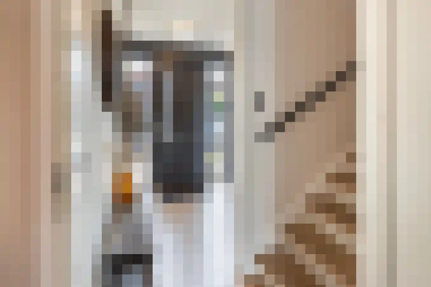Bladwesp 2 Hengelo thumbnail 8