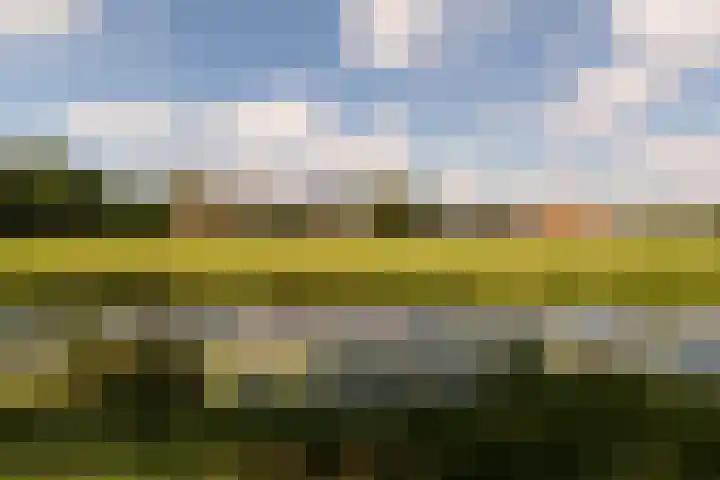 Blaer 18 Koedijk