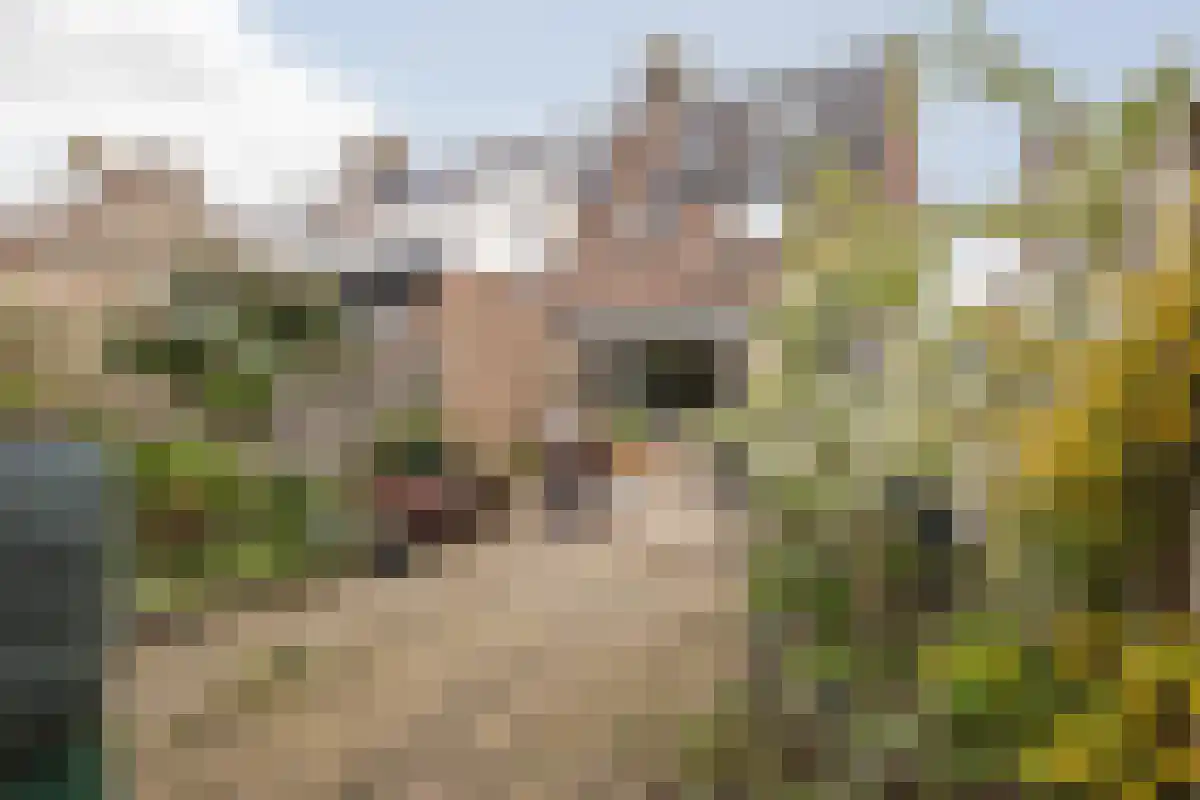 Blaer 18 Koedijk