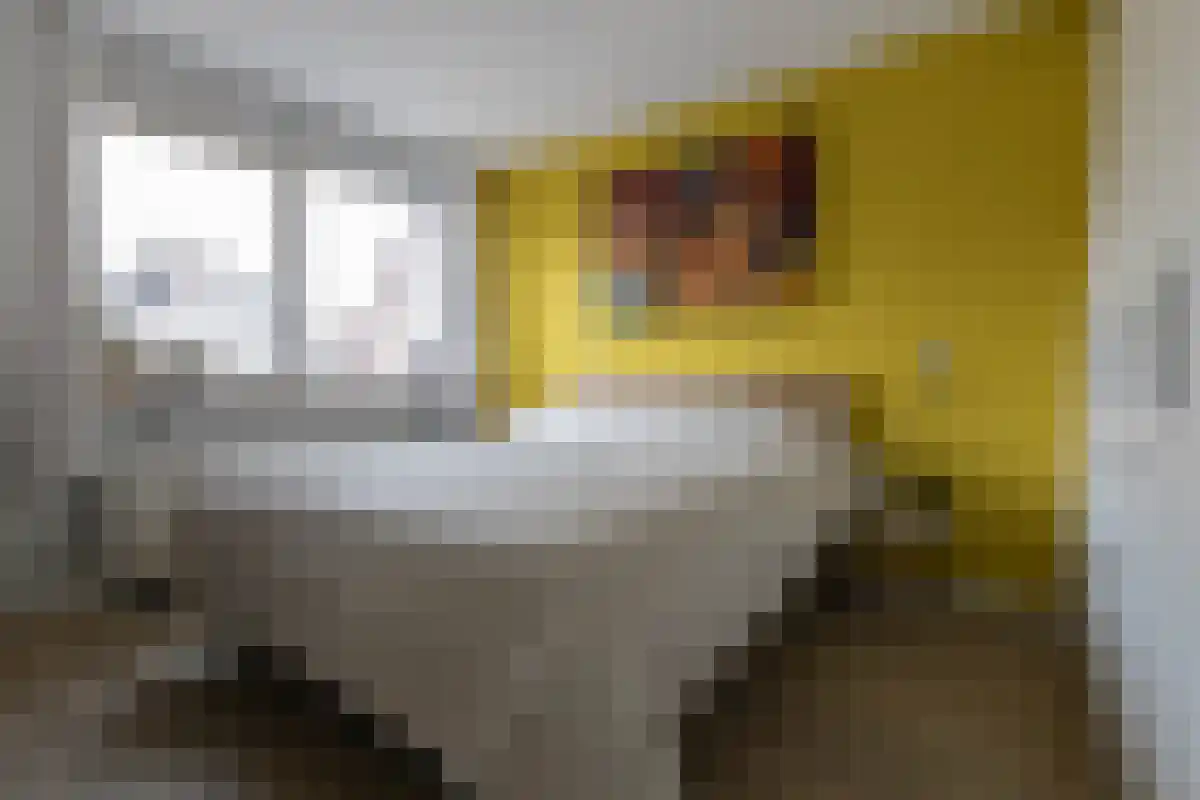 Blaer 18 Koedijk thumbnail 13