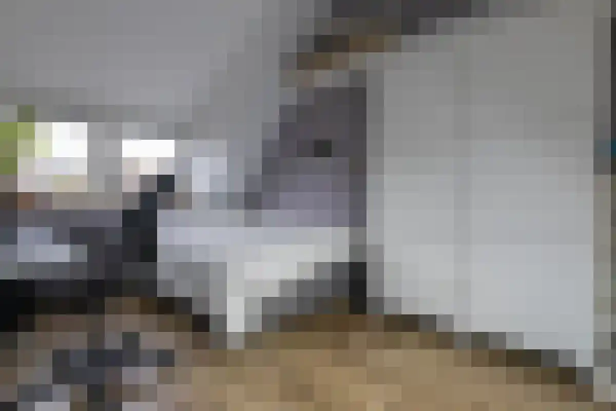 Blaer 18 Koedijk thumbnail 20
