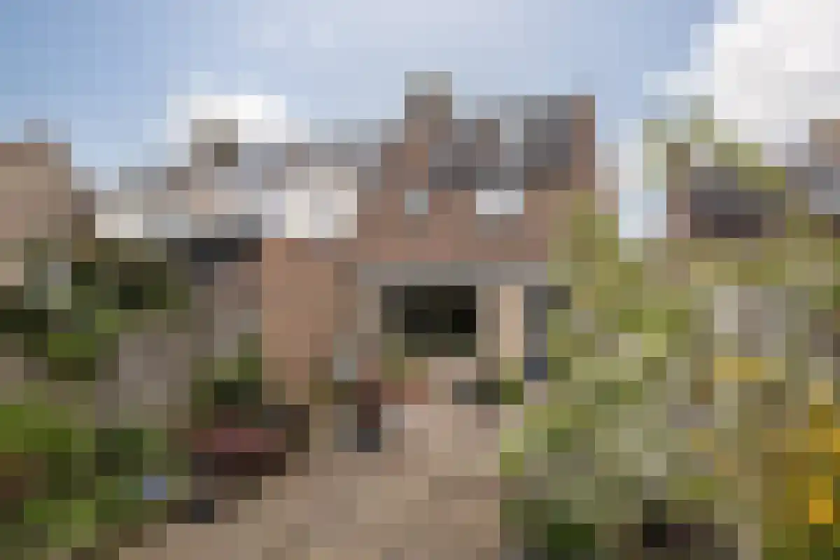 Blaer 18 Koedijk thumbnail 23