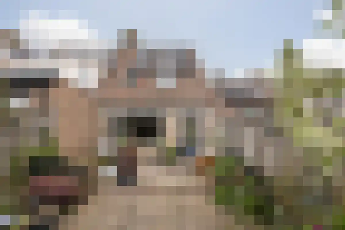Blaer 18 Koedijk thumbnail 24