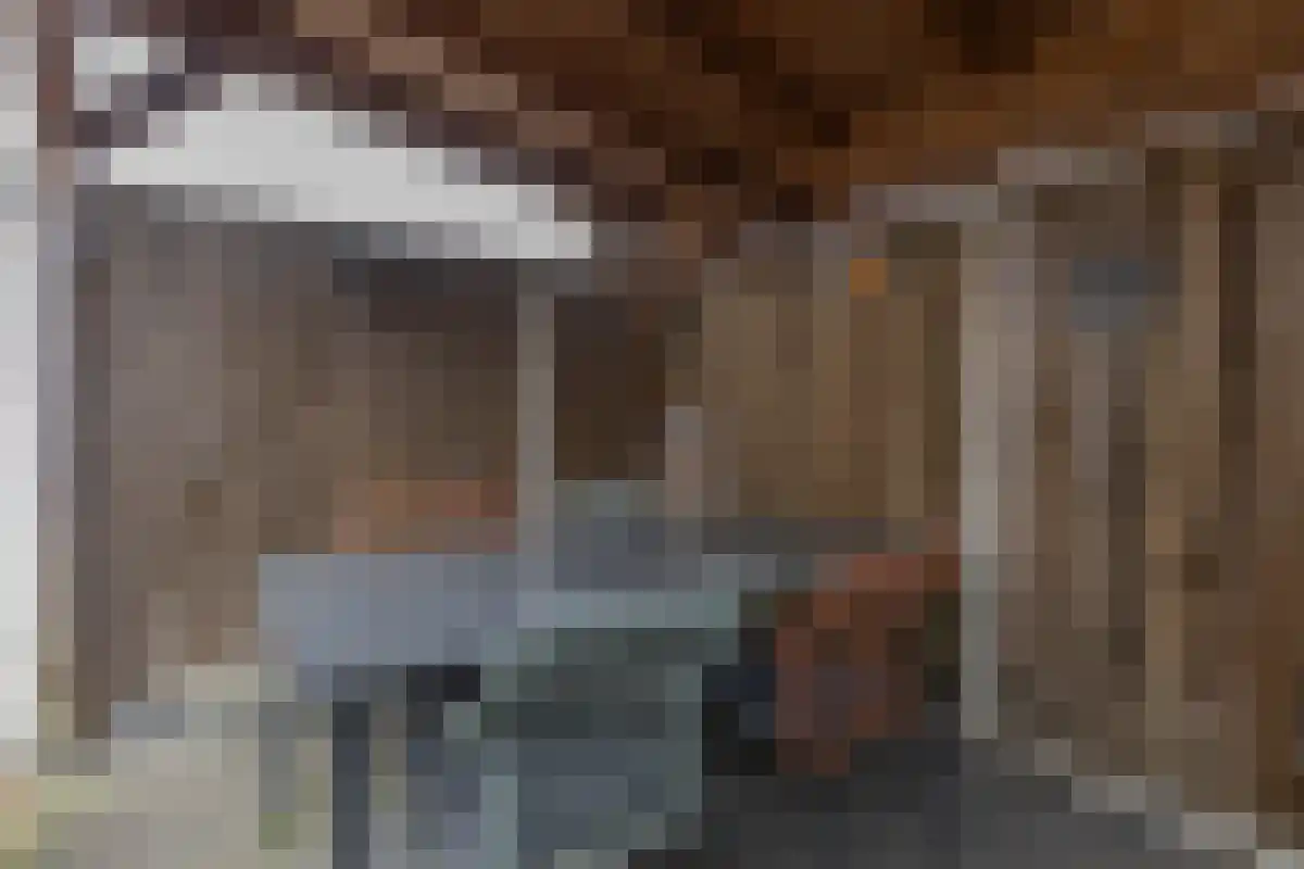 Blaer 18 Koedijk thumbnail 25