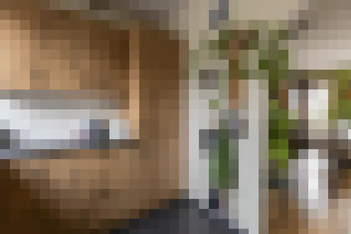 Blaer 18 Koedijk thumbnail 8