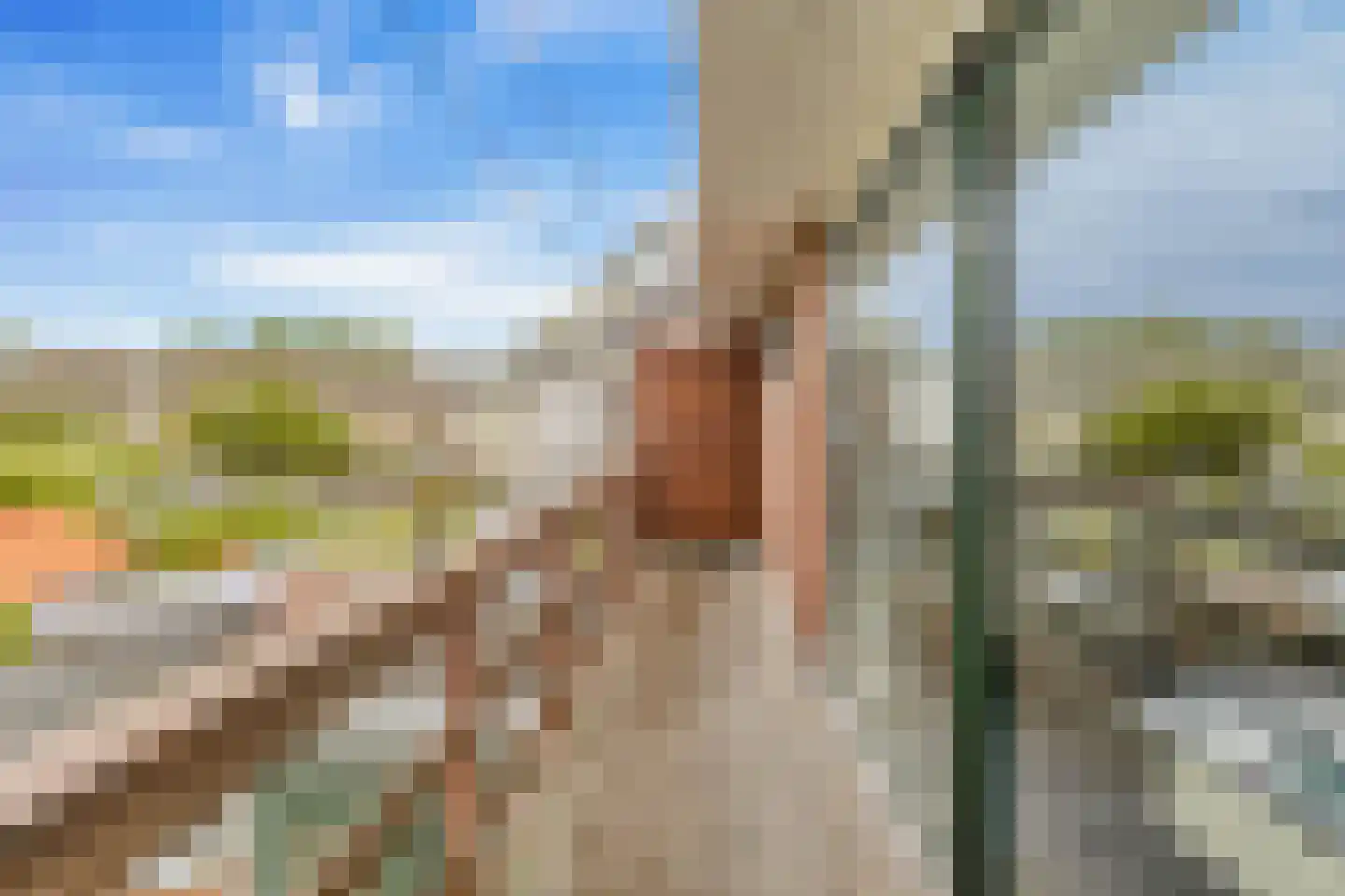 Blaeustraat 31 Alkmaar thumbnail 16