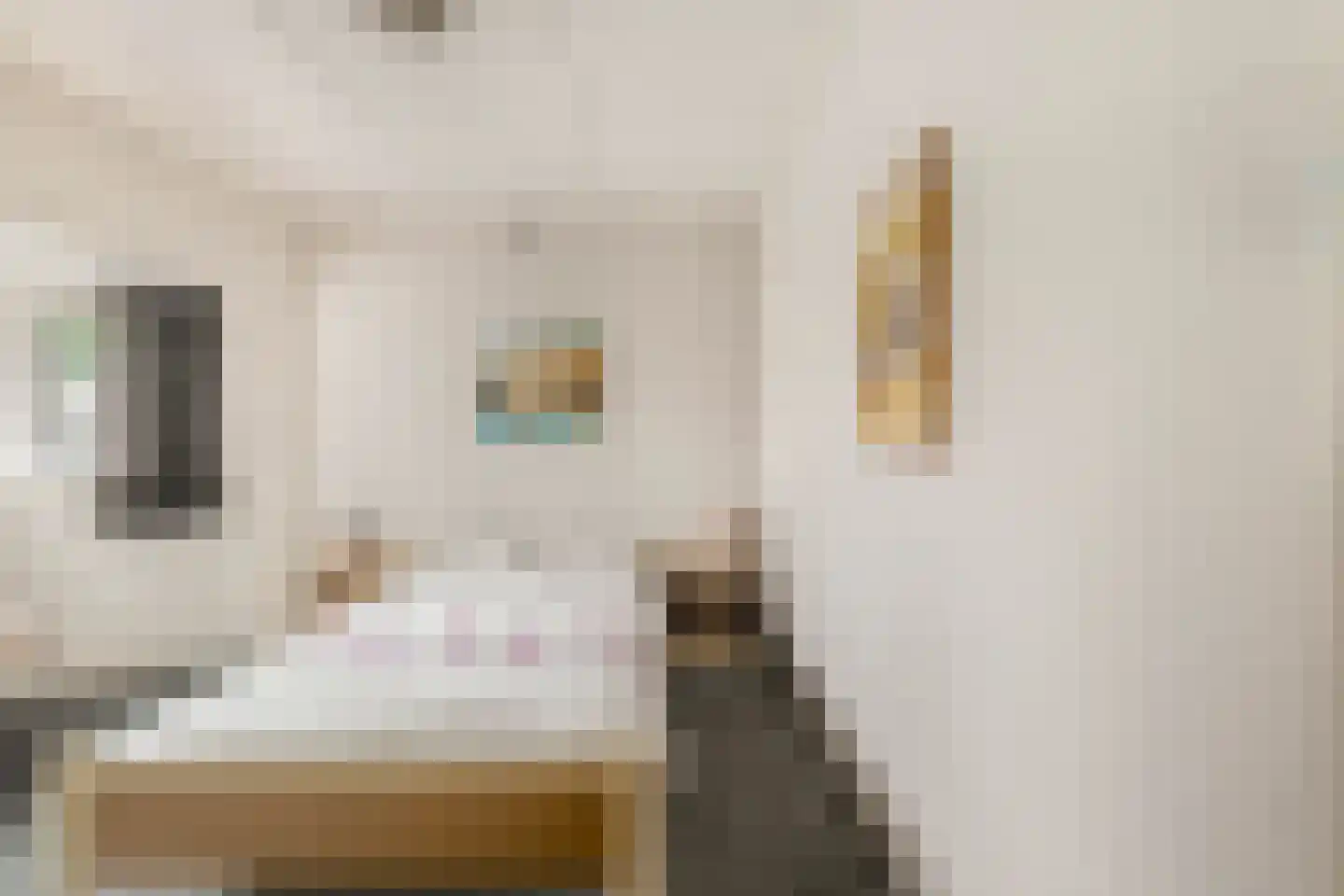 Blaeustraat 31 Alkmaar thumbnail 18