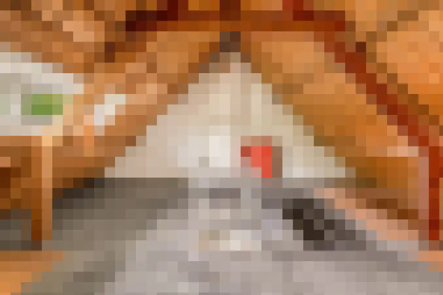 Blaeustraat 31 Alkmaar thumbnail 23