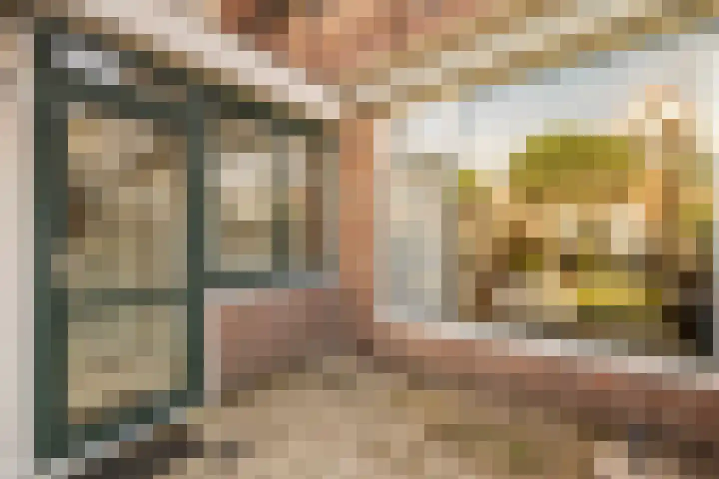 Blaeustraat 31 Alkmaar thumbnail 25