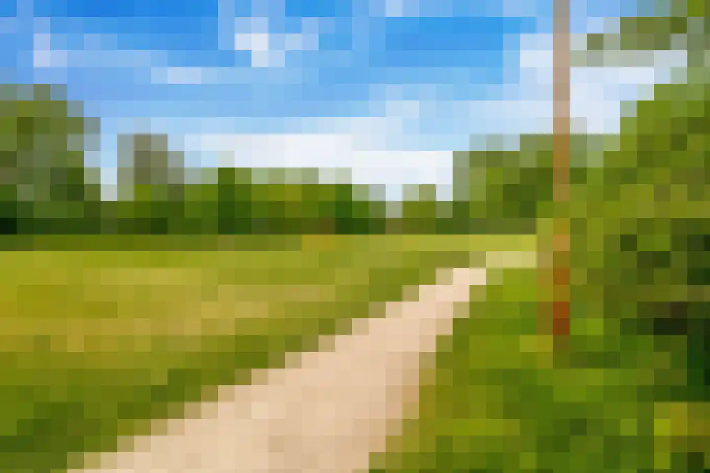 Blaeustraat 31 Alkmaar thumbnail 36