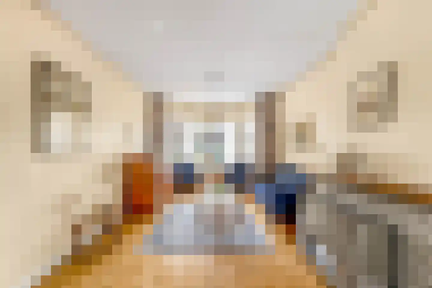 Blaeustraat 31 Alkmaar thumbnail 4