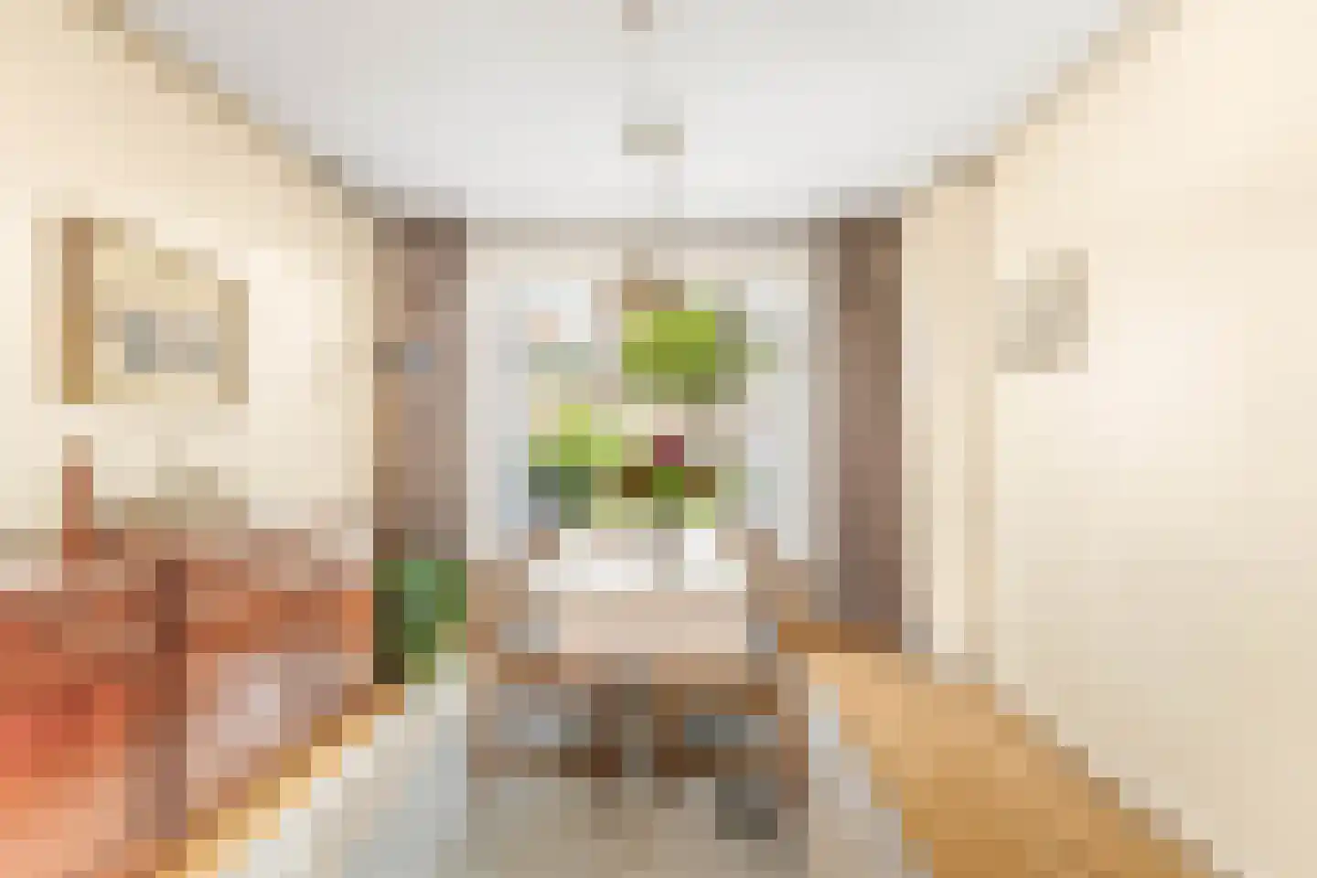 Blaeustraat 31 Alkmaar thumbnail 9