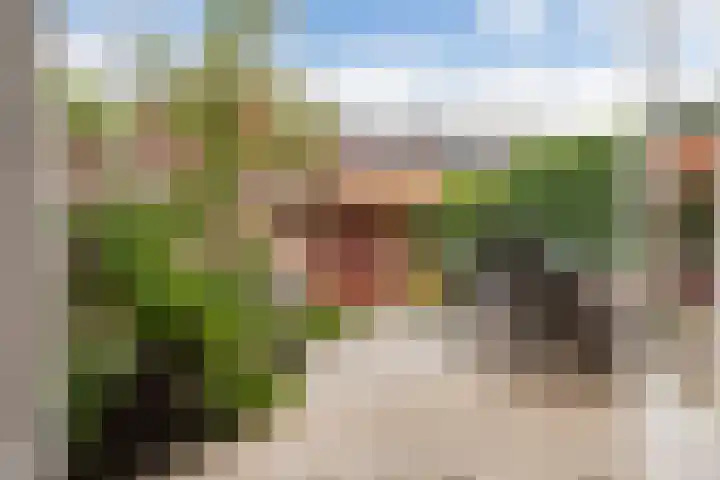 Blaeustraat 35 Alkmaar thumbnail 36