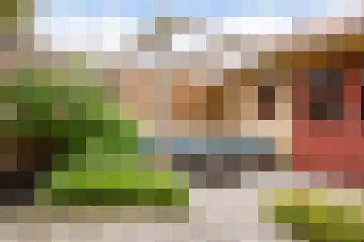 Blaeustraat 35 Alkmaar thumbnail 39