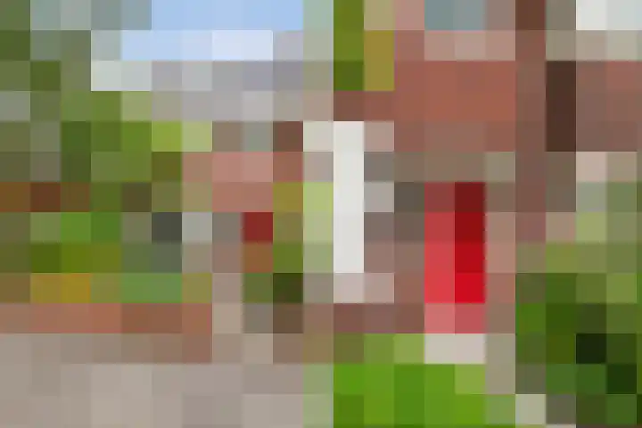 Blaeustraat 35 Alkmaar thumbnail 7