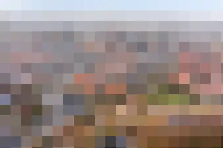 Blaeustraat 7 Alkmaar thumbnail 32