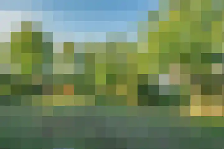 Blaktdijk 27 Kronenberg thumbnail 27