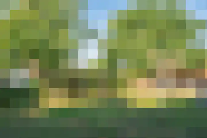Blaktdijk 27 Kronenberg thumbnail 28
