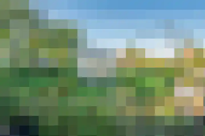 Blaktdijk 27 Kronenberg thumbnail 29
