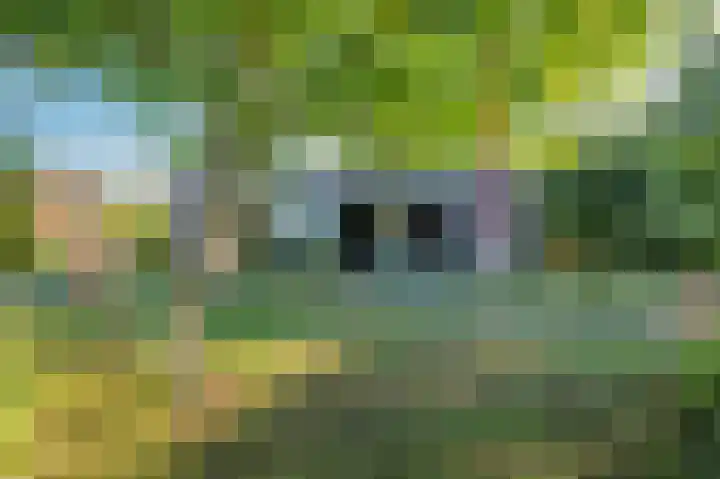 Blaktdijk 27 Kronenberg thumbnail 31
