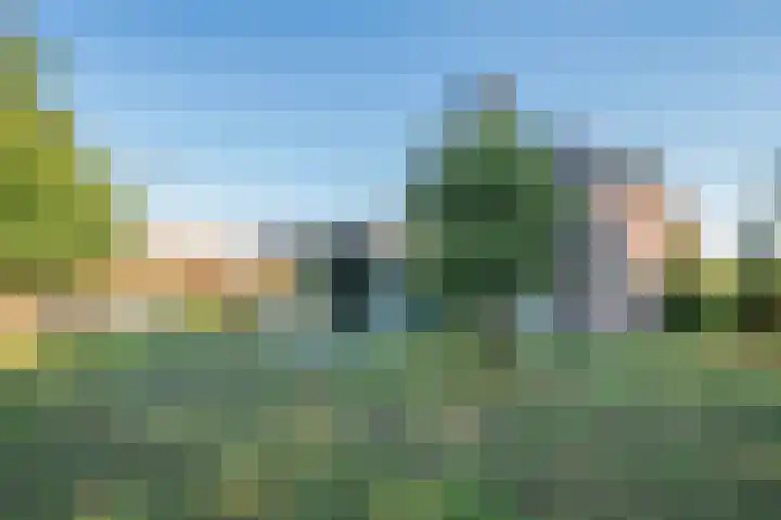 Blaktdijk 27 Kronenberg thumbnail 32