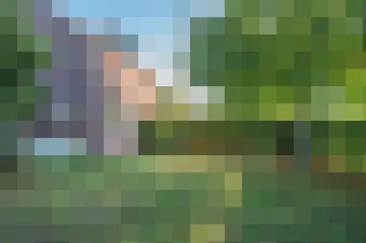Blaktdijk 27 Kronenberg thumbnail 33