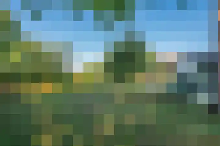 Blaktdijk 27 Kronenberg thumbnail 35