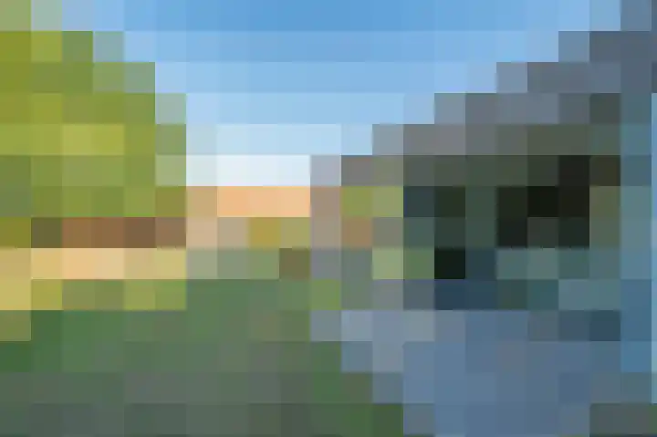 Blaktdijk 27 Kronenberg thumbnail 36