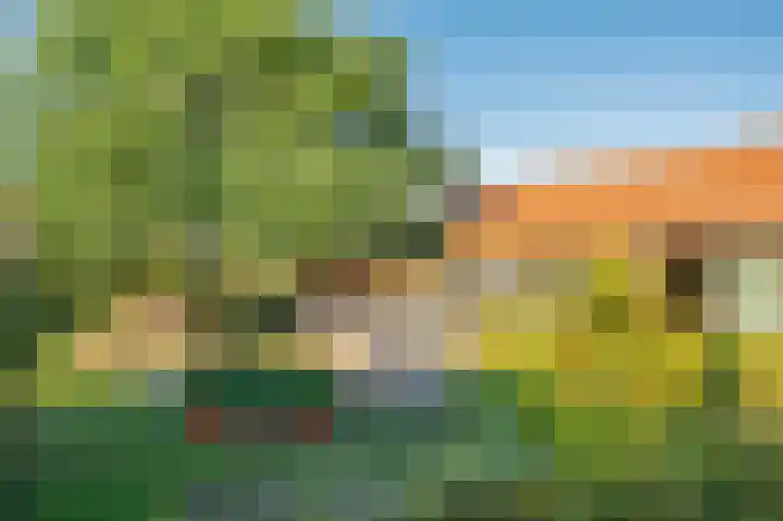Blaktdijk 27 Kronenberg thumbnail 40