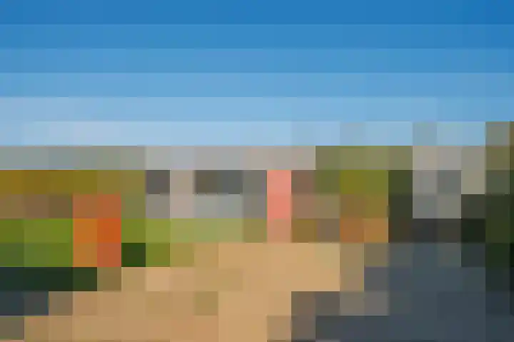 Blaktdijk 27 Kronenberg thumbnail 41