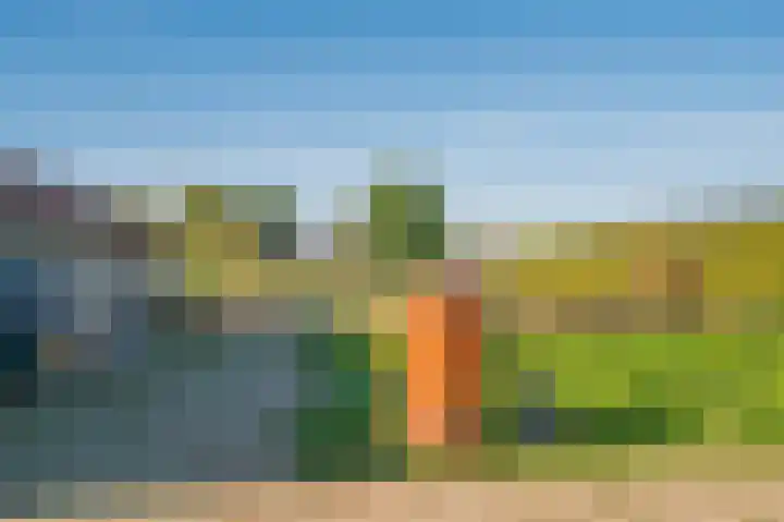Blaktdijk 27 Kronenberg thumbnail 43